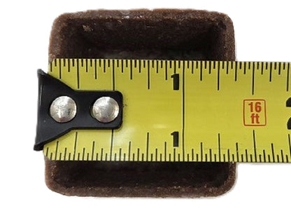 1.3" Mini Chocolate Square Tartlets - 12ct Pack